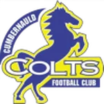 TEAM #16484 logo
