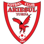 TEAM #16531 logo
