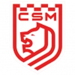 TEAM #16553 logo