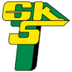 TEAM #16663 logo