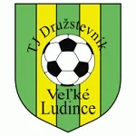 TEAM #16737 logo
