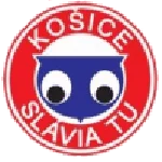 TEAM #16742 logo
