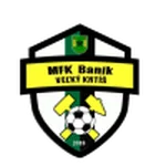 TEAM #16755 logo