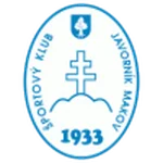 TEAM #16781 logo