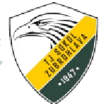 TEAM #16863 logo