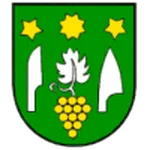 TEAM #16896 logo