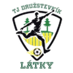 TEAM #16911 logo