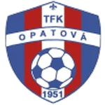 TEAM #16913 logo