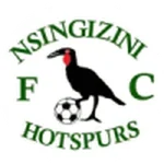 TEAM #16980 logo
