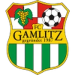 TEAM #17011 logo