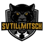 TEAM #17013 logo