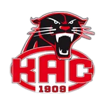 TEAM #17066 logo