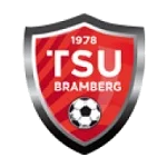TEAM #17093 logo