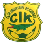 TEAM #17163 logo
