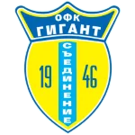 TEAM #17233 logo