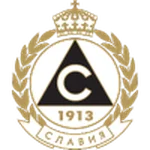 TEAM #17263 logo