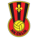 TEAM #17339 logo
