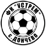 TEAM #17381 logo