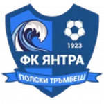 TEAM #17429 logo