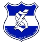 TEAM #17593 logo