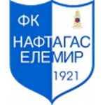 TEAM #17676 logo