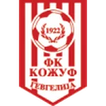 TEAM #17701 logo