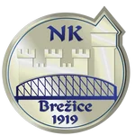 TEAM #17714 logo