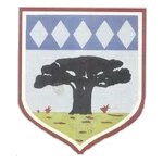 TEAM #18347 logo