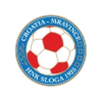 TEAM #18396 logo