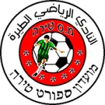 TEAM #18482 logo