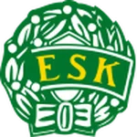 TEAM #18653 logo