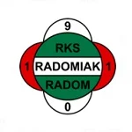TEAM #1878 logo