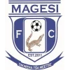 TEAM #18806 logo