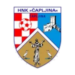TEAM #18897 logo