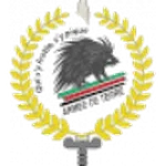 TEAM #18979 logo