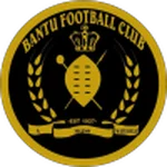 TEAM #19060 logo
