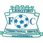 TEAM #19063 logo