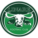 TEAM #19066 logo