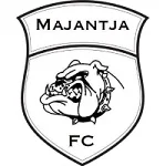 TEAM #19067 logo
