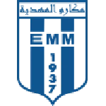 TEAM #19095 logo