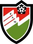 TEAM #19155 logo