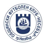 TEAM #1919 logo