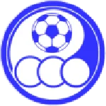 TEAM #19247 logo