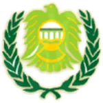TEAM #19271 logo