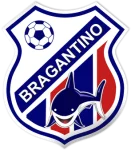 TEAM #19290 logo