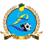 TEAM #19341 logo