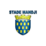 TEAM #19343 logo