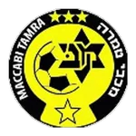 TEAM #19413 logo
