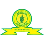 TEAM #19493 logo