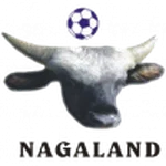 TEAM #19497 logo